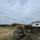 우도면사무소 이미지