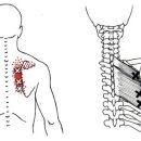 진짜 헬스장 이미지