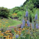 함덕초등학교선인분교 이미지