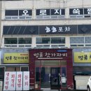 명품참가자미 | 대구 호림동 물회집 명품참가자미 후기