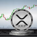 美 법원 &#34;XRP 증권 아니다&#34; 판결...리플 CEO &#34;역사의 옳은 편에 섰다&#34; 이미지