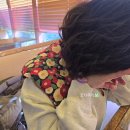 2139 | 고기리 카페 허브앤바움 내돈내산 후기 +메뉴 주차