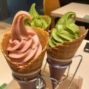 인천공항탁구용품 | 일본 녀행 (*^o^*)