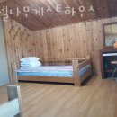 에셀나무게스트하우스