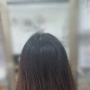 최블리헤어 네이버블로그