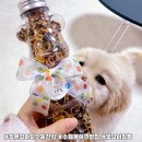 댕냥이 점빵 이미지