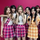 플틴 Daum카페