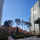 진영장등초병설유치원 | 김해 진영 리버티 중흥3차 주변 둘러보기