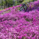 모든 것은 오직 마음이지어낸다 이미지