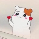 역북-9 | [경기/용인]용인 역북동 가성비 맛집 킨토토 역북점 명지대 근처 일식 맛집 내돈내산 솔직 후기