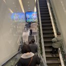 해피분당서현대리점 | 분당 AK 서현점 해피베어데이 케이크 후기, 당일 레터링 케이크