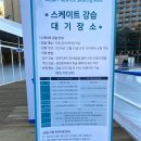 2025 서울광장 스케이트 이용 정보 및 후기 (주차, 강습, 현장 예매, 온라인 예매)