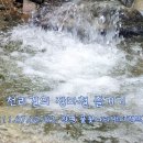 반디캠프 이미지