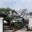 월령지헌 | [제주도감성숙소/제주독채펜션] 제주 한림 “월령지헌”