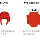 효자태권도 Daum카페