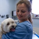 코아동물병원 이미지