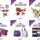 한국반려동물영양연구소 이미지