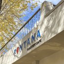 예쁜커피나무 | [대구/가창] 은행나무가 예쁜 테라스카페 &#34;폰타나커피&#34; 솔직후기