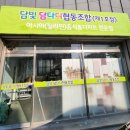담빛 담다디 전남인터넷신문
