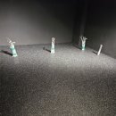 미용실콩