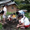 진안 주천-55번국도-와룡암 무릉마을 명도봉 구봉산 이미지