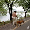 호암공원 화장실 이미지
