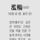 남상 이미지