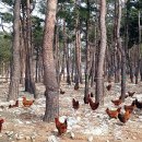 미래농장2 이미지