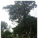 미호박물관 이미지