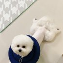 청라공감동물병원 이미지