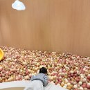 남매침구 | 강릉 신라모노그램 방문후기 (연년생 남매맘 엄마시점 ) ^_^