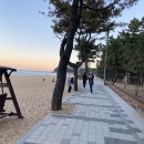 속초사잇길 제5길 이미지