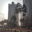 서구-01-22 이미지