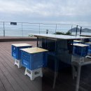 진도이어라 이미지