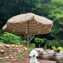 [애견동반]울산 문수별당 카페후기