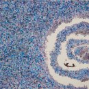 원광대학교 동서보완의학대학원 이미지