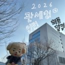 희망일터 | [인턴] 관세청 여행자통관과 청년인턴 최종합격 후기: 정책제안서 작성 팁과 면접 질문 공개