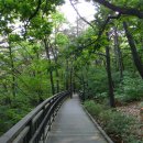 개화산 자락길 이미지