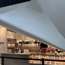 블랙스타 | 시드니 수박케이크 맛집 블랙스타패스츄리 Black Star Pastry