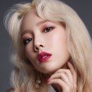 태연환경 이미지