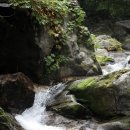 조무락계곡 이미지