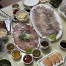 GS25 서강은혜점 | 25년 11월 일상(다시 돌아온 방어 철, 등산)