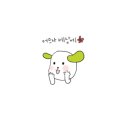가배시광