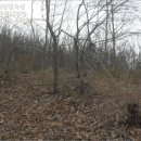 옥천군안남면지수보건진료소 이미지