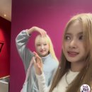소니즈