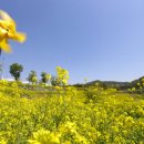 상이암공원 이미지