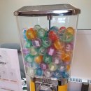 가든뽑기방 이미지