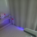 다듬이 세탁 | 🧼 대전 대학가 원룸에 먼지다듬이 진드기 출몰… 집중 방역소독 후기 (미소창방역)