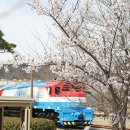 경화역 공원 1 이미지