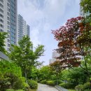 행복한파크힐공인중개사사무소 이미지